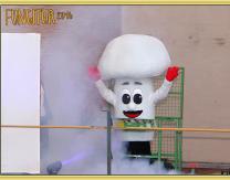 Aparición de nuestra Mascota- Fungi