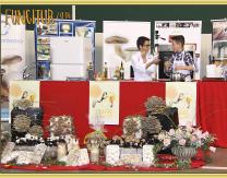 Mario y Bruno intercambiaron trucos de cocina en directo