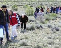 Rutas a los restos arqueológicos de Pradejón