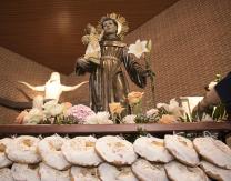 San Antonio de Padua con las tradicionales roscas bendecidas