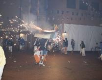 Toro de Fuego