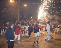 Toro de Fuego